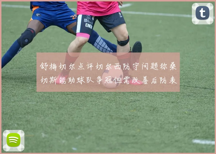 舒梅切尔点评切尔西防守问题称桑切斯能助球队争冠但需改善后防表现
