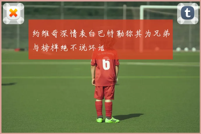 约维奇深情表白巴特勒称其为兄弟与榜样绝不说坏话
