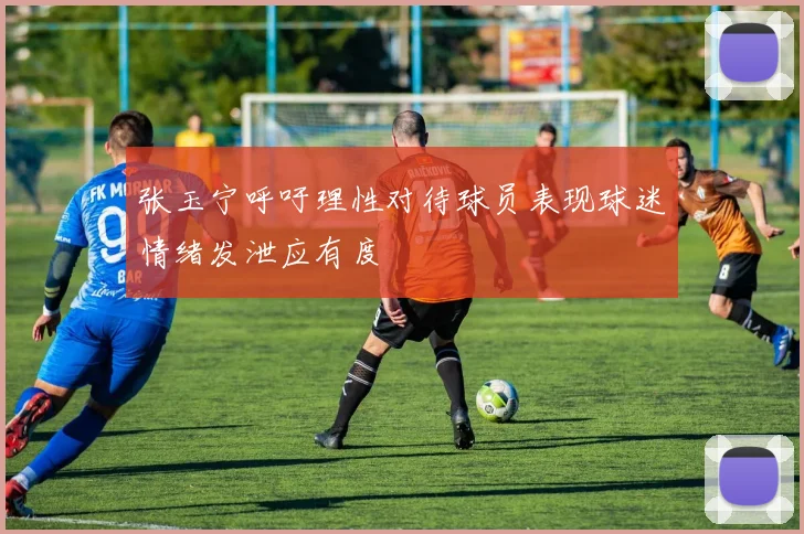 张玉宁呼吁理性对待球员表现球迷情绪发泄应有度